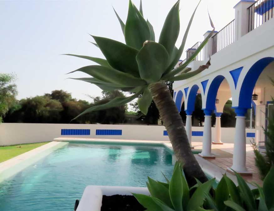 Villa De Lujo En Sancti Petri Novo Sancti Petri Exteriér fotografie